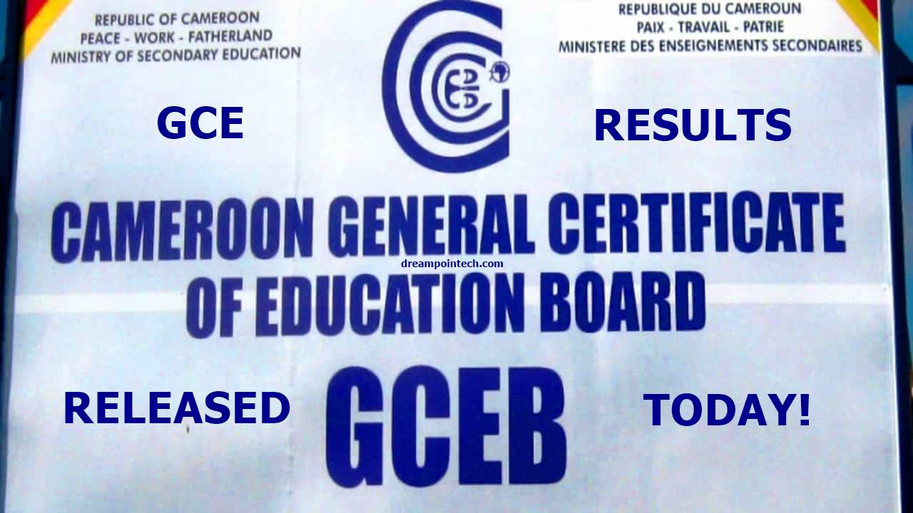 Cameroon GCE Board Publishes Official Results