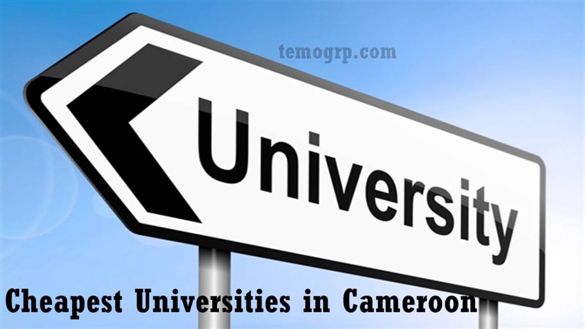 Top 10 Cheapest State Universities in Cameroon 2026
