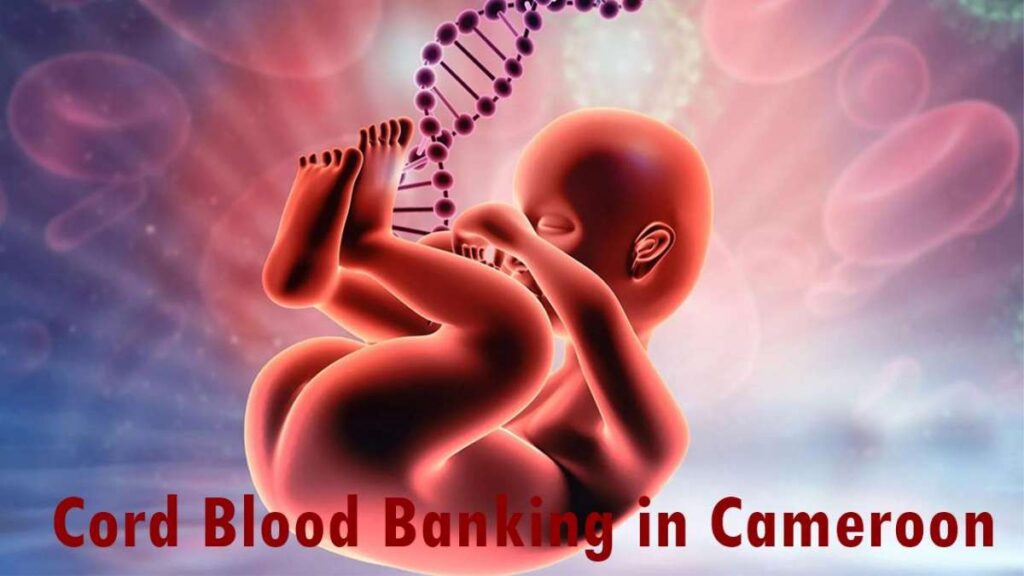 Why Cord blood banking is important in Cameroon
