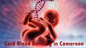Why Cord blood banking is important in Cameroon