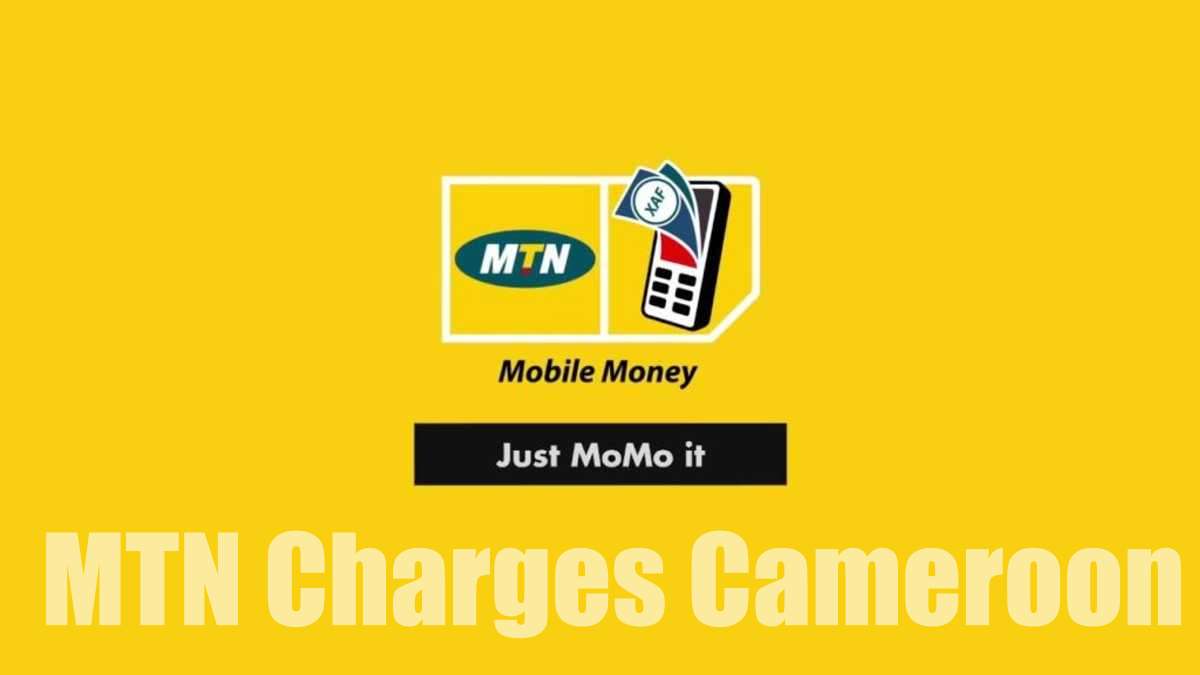 MTN Cameroon Withdrawal and Transfer Charges