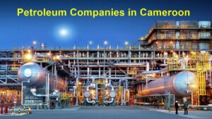 Petroleum companies in Cameroon
