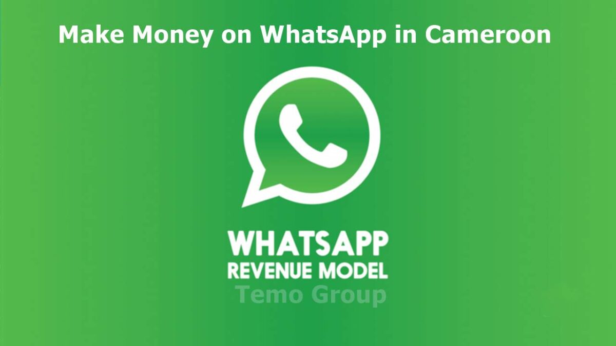 Money on WhatsApp in Cameroon