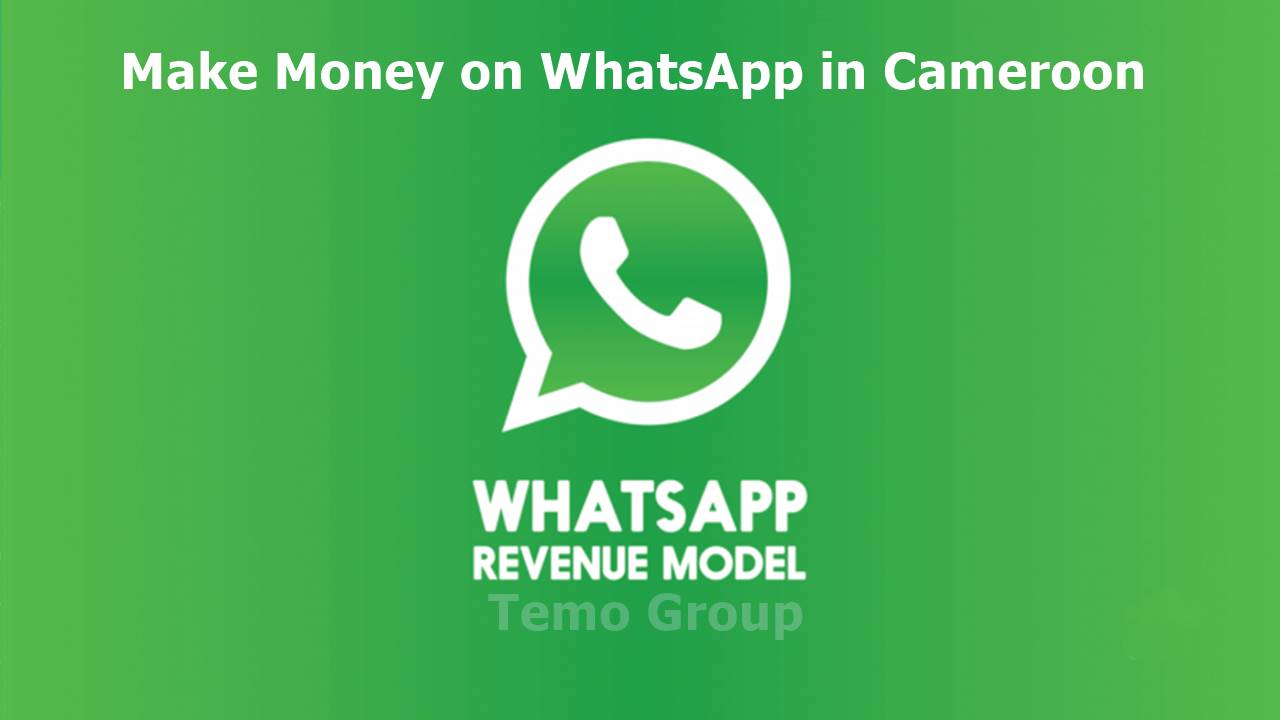 make money on WhatsApp in Cameroon