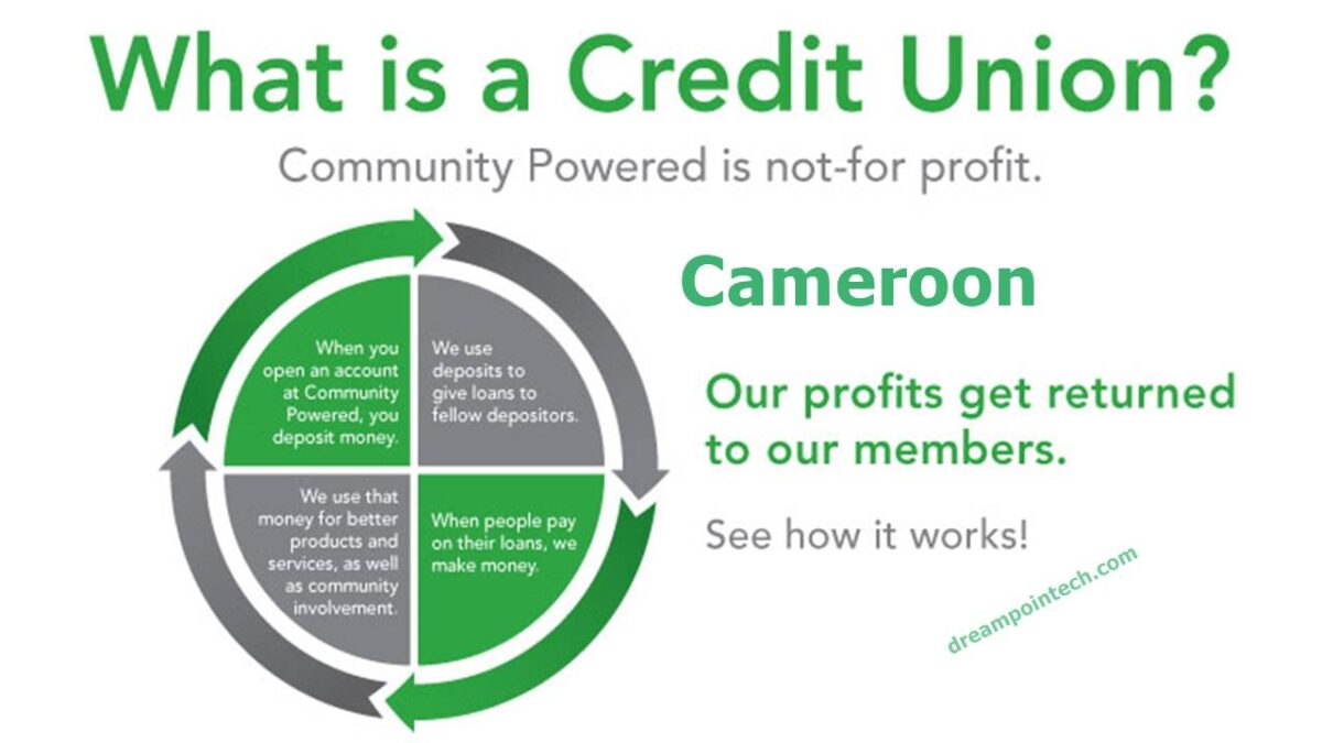 Open a Microfinance or Credit Union in Cameroon