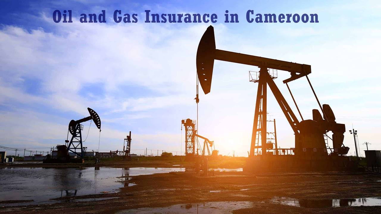 Oil and Gas Insurance in Cameroon
