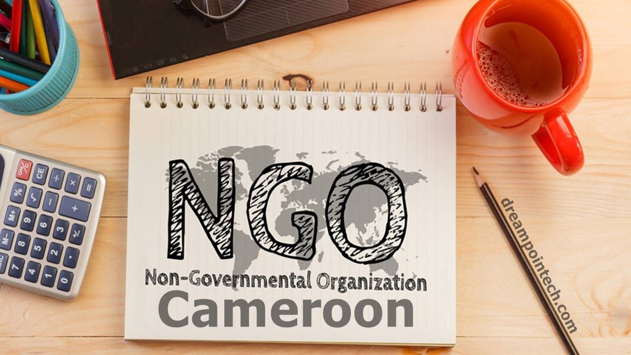 Start an NGO