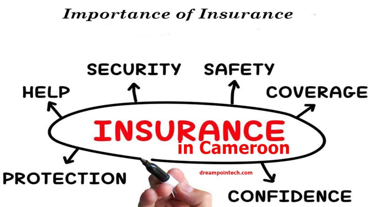 Guide on the importance of the insurance industry