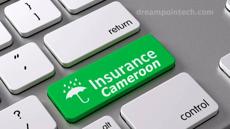 Traditional Forms of Insurance in Cameroon (Different Types)
