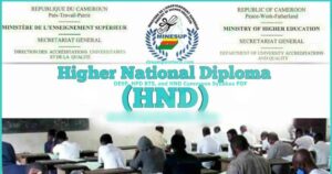 DESP, HPD, BTS, and HND Cameroon Syllabus